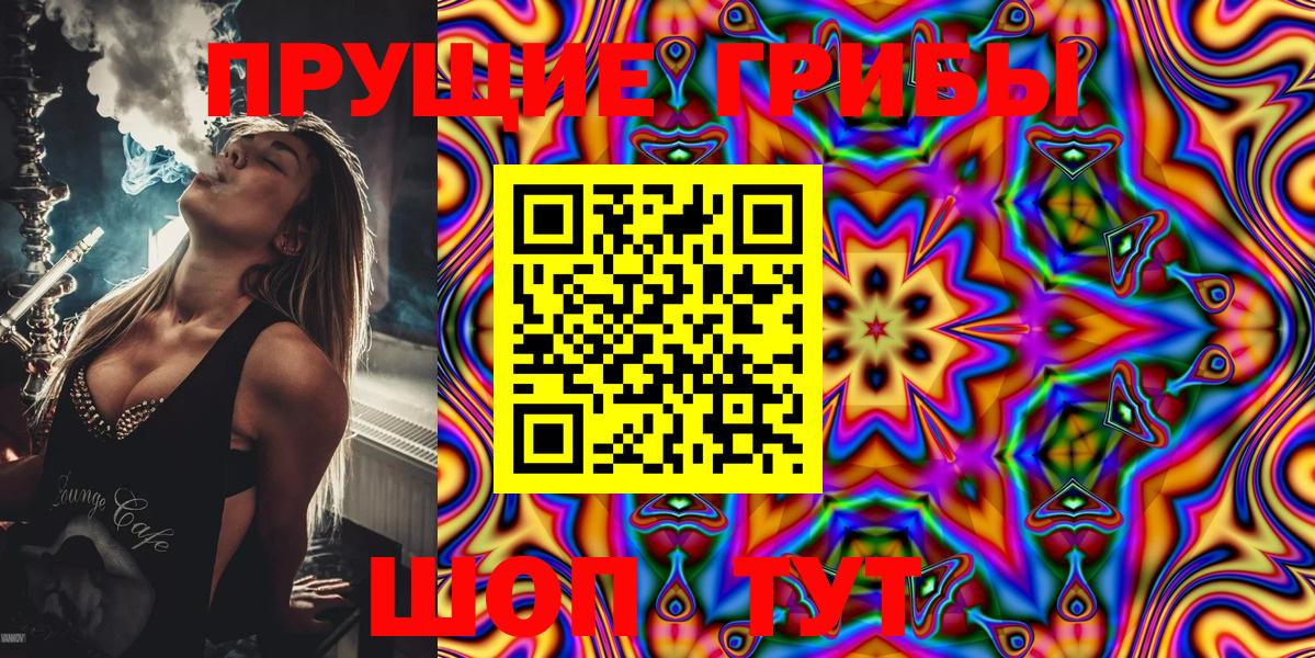 Фролово  Псилоцибиновые грибы GOLDEN TEACHER  Вход с VPN  Галлюциногенные грибы Magic Shrooms 